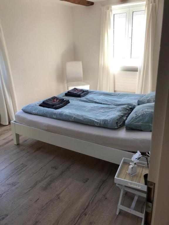 Cozy Apartment Close To Zurich Airport And City Oberglatt 외부 사진