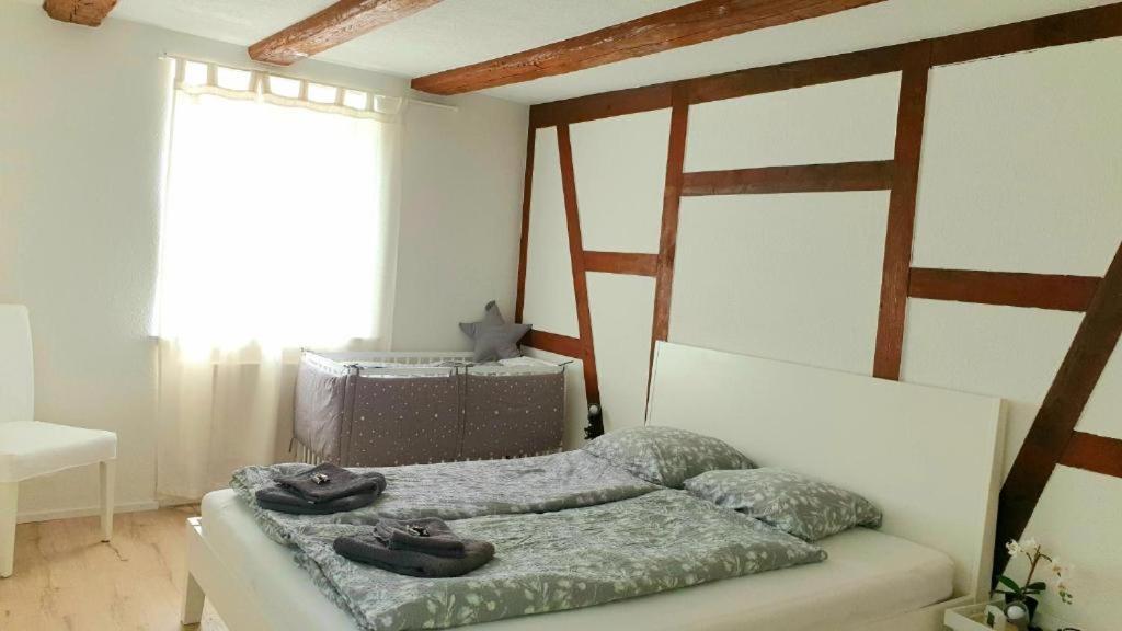 Cozy Apartment Close To Zurich Airport And City Oberglatt 외부 사진