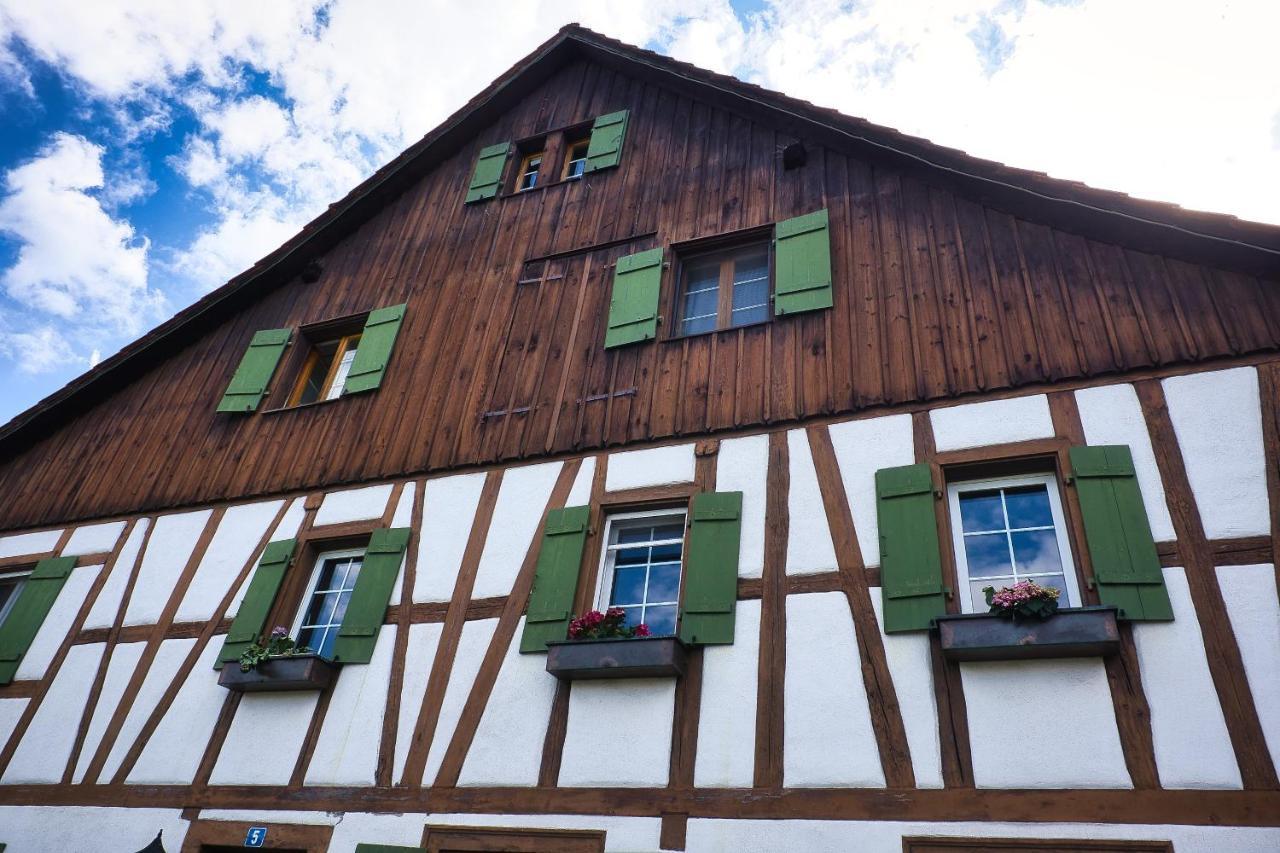 Cozy Apartment Close To Zurich Airport And City Oberglatt 외부 사진