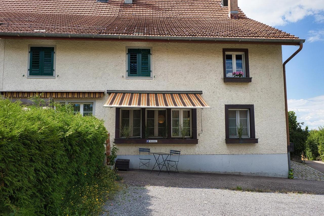 Cozy Apartment Close To Zurich Airport And City Oberglatt 외부 사진